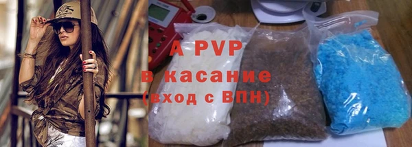 стафф Абинск