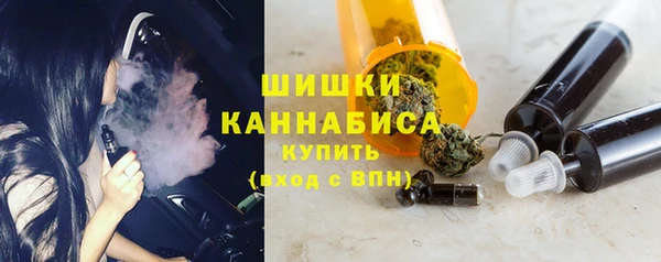 амф Россошь