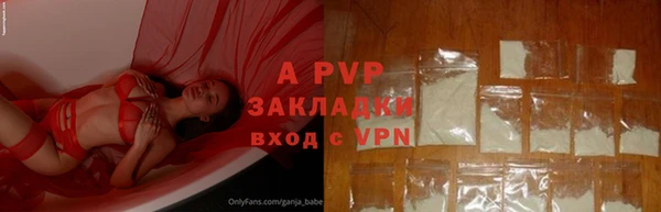 стафф Абинск