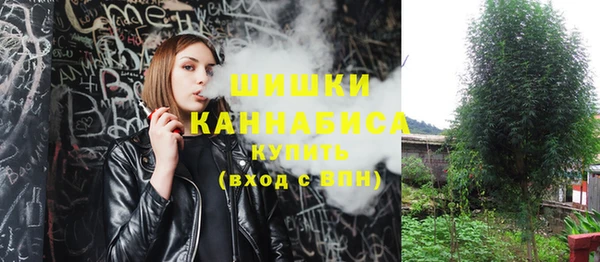 стафф Абинск