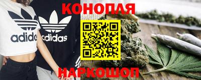 дживик Кингисепп