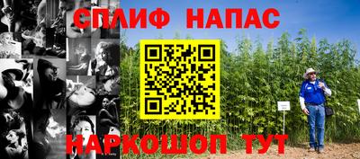 спиды Кинель
