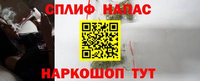 спиды Кинель