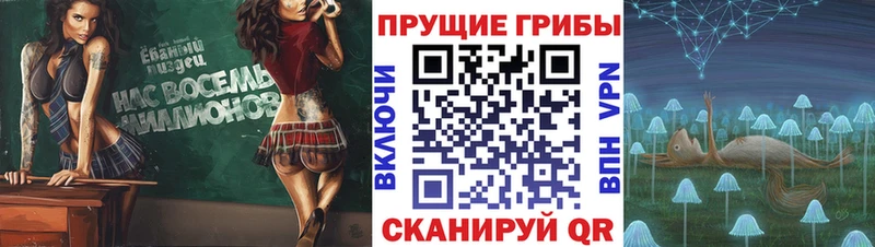 купить наркоту Краснодар Псилоцибиновые грибы Cubensis